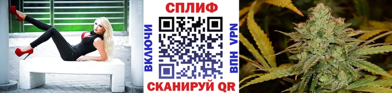 Где купить наркотики Находка кракен ССЫЛКА  Кокаин  Гашиш  Галлюциногенные грибы  МЕФ  Конопля 