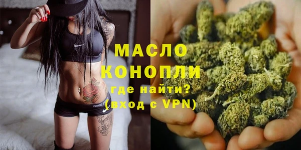 индика Беломорск