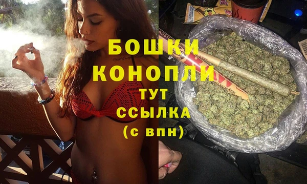 дживик Няндома