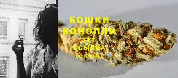 каннабис Осташков