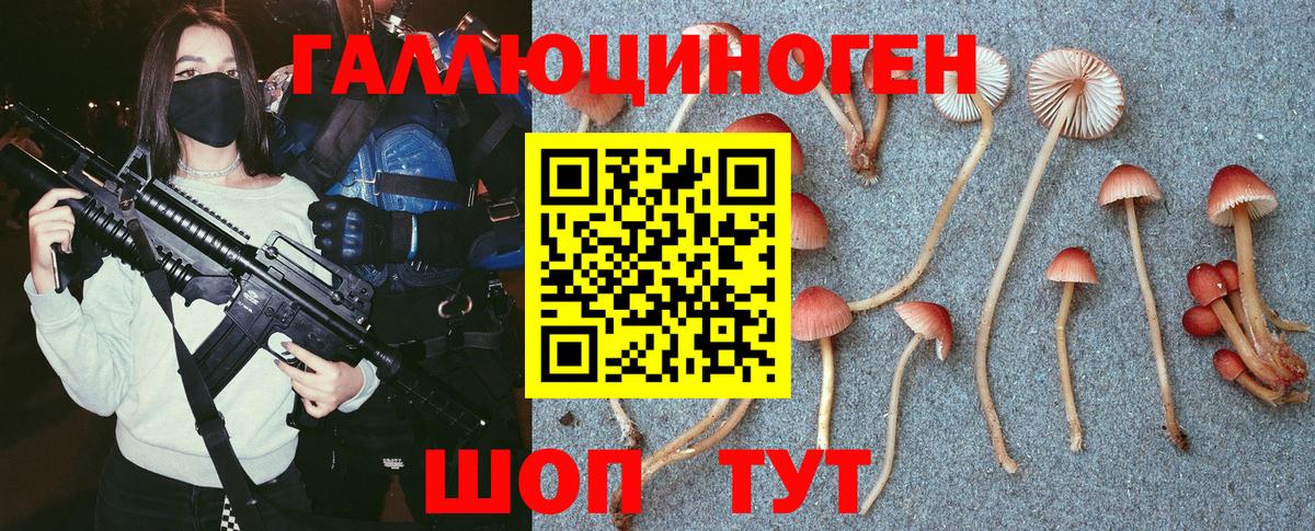 Галлюциногенные грибы Magic Shrooms Находка