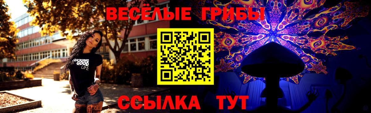 Галлюциногенные грибы Magic Shrooms  Вход с VPN  Находка 